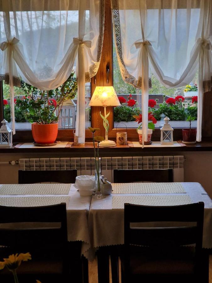 Irena Bed and Breakfast Korbielów Εξωτερικό φωτογραφία